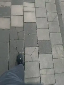 Bigdick_20cmlang6cmbreit
