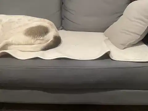 4small4inchlol