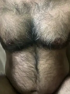 SatBull007