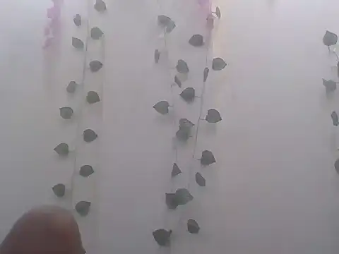 Naina_gf