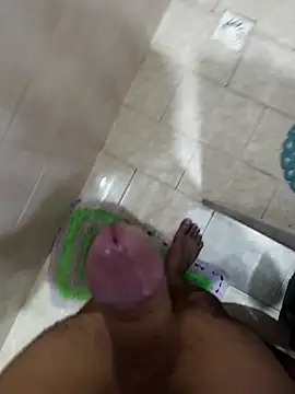 dpcemel