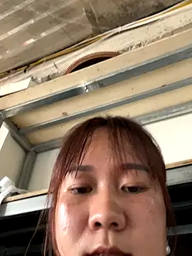 qinejr37