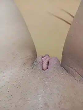 _LoiraSafada