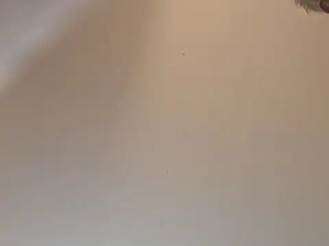 highstepper500