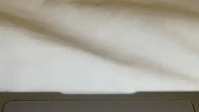 peterpapiNL