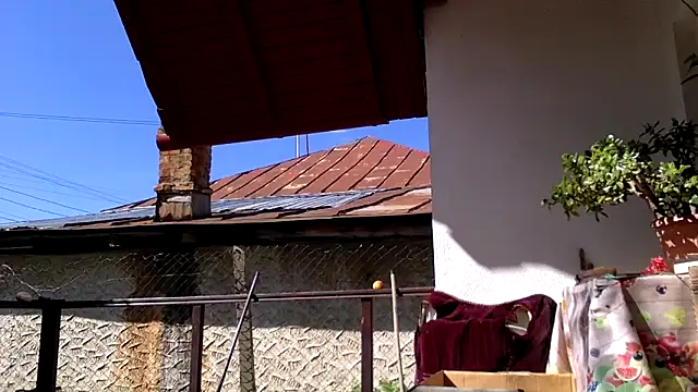 piccolaflo
