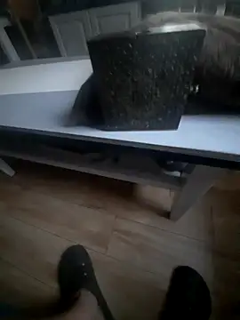 quini41