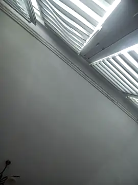 Dzordzo33