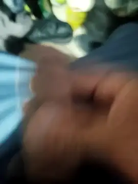 Aaia93