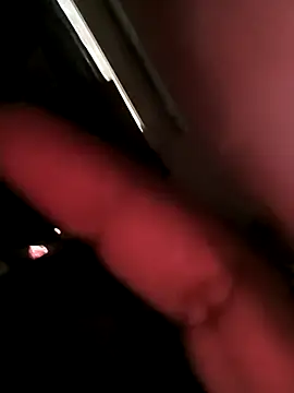 rajstrip12650