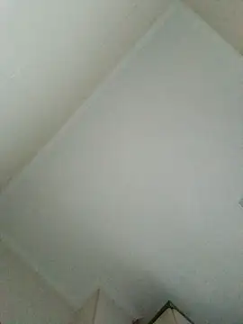 Dama333