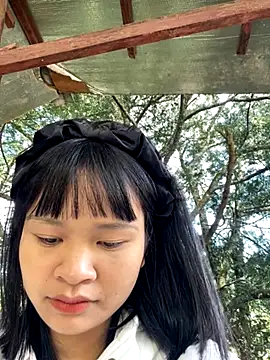 Linyi811