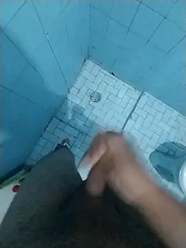 Novinhoamacoroas1002