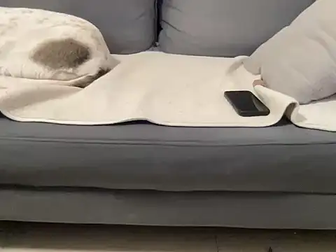 4small4inchlol