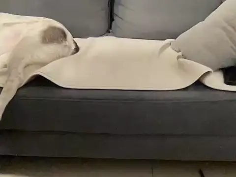 4small4inchlol