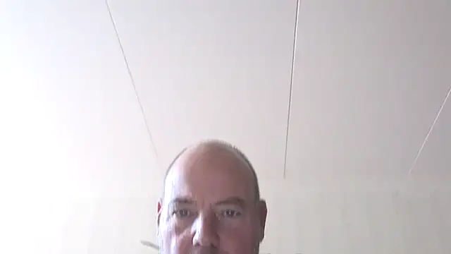 timmer1965