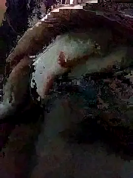 Roughdriler