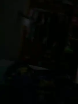 elpapi17