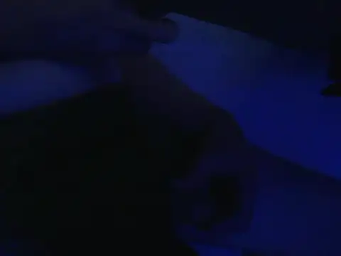 novinzs019