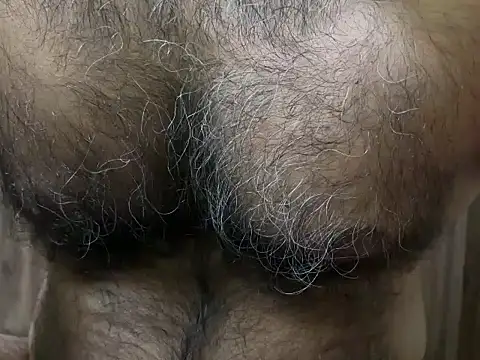 SatBull007