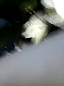 Alexandrevictor69