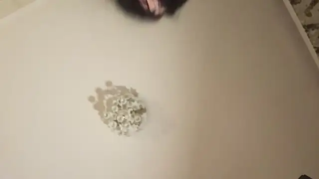 CutieDiana