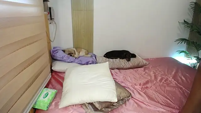 Модель: Genuinely_Smile