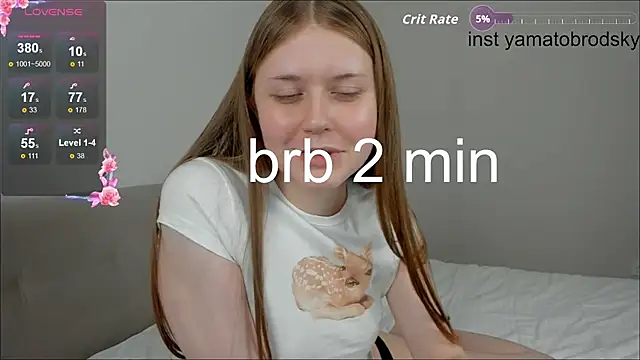 Модель: YamatoBrodsky