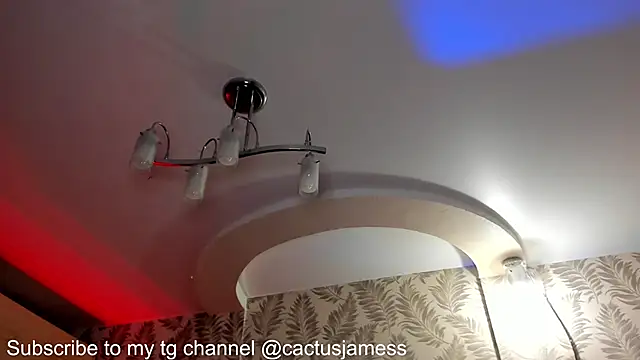 Cactus__James