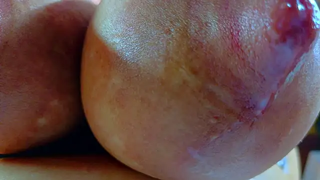 Jennifer_Vega1