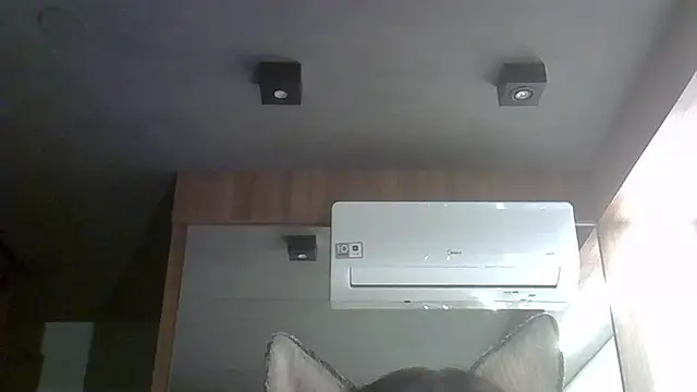 Модель: SkinnyKitten