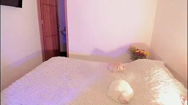 imamdahian - ImamDahian's free webcam