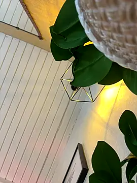 ash_ricci