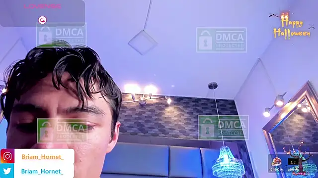 Briam_Hornet_
