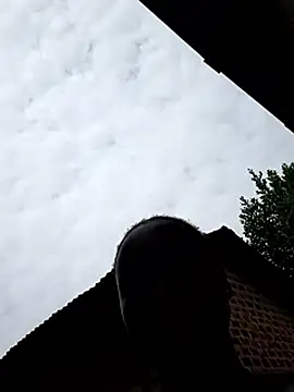 Black_juicy24