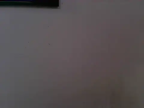 asian_bhebs1