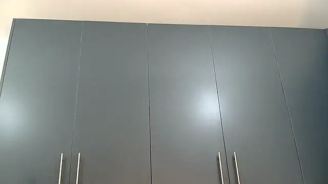 katt008