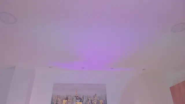 Saskia_litt