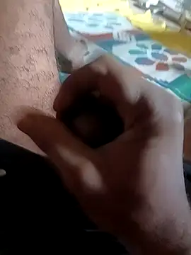 Bengali_BULL1