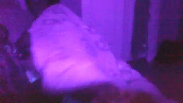 sarahkat86