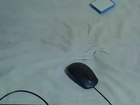 EbonyMina_