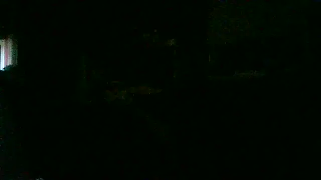 di4mond_fir3 - DI4MOND_FIR3's free webcam