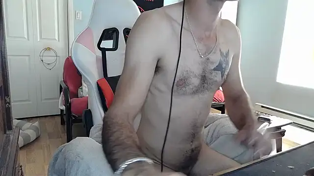 Ardokks