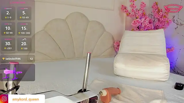 Amykord