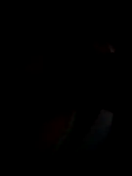 NiceBadgera