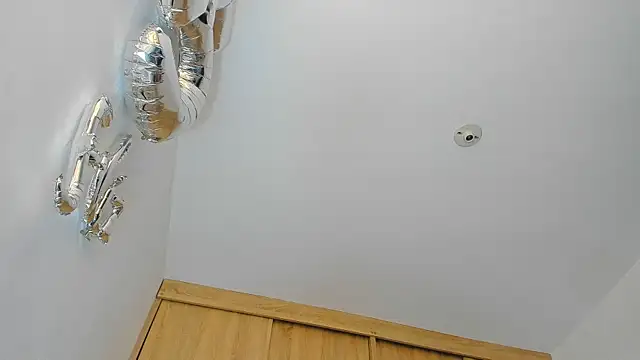 Austin_Bitch