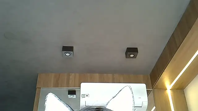 skinnykitten - SkinnyKitten's free webcam