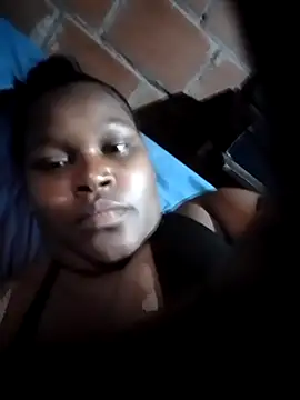 kammytorrez
