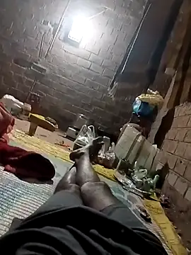 Bengali_BULL1