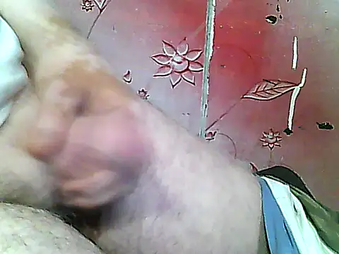 two_colour_cock